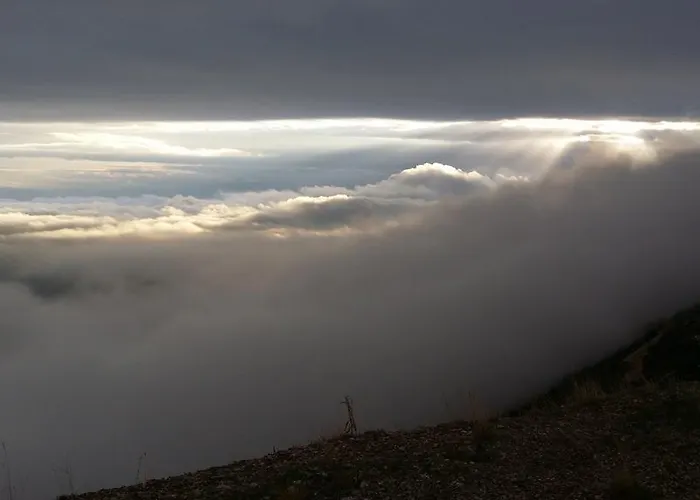 Dio ゲストハウス